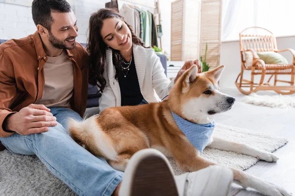 Young and happy couple petting akita inu dog in modern living room — Stock Photo