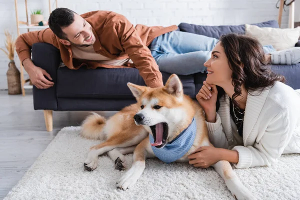 Cheerful young woman looking at boyfriend on couch near akita inu dog — Stock Photo