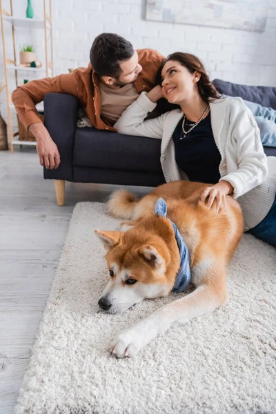 Веселая молодая женщина смотрит на размытого бойфренда на диване возле akita inu dog — стоковое фото