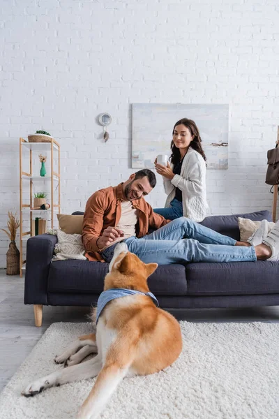 Happy man looking at akita inu dog near smiling girlfriend with cup of coffee — Stock Photo