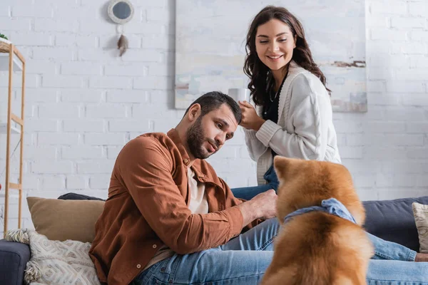 Bearded man looking at akita inu dog near smiling girlfriend with cup of coffee — Stock Photo