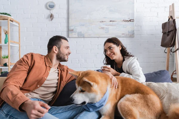 Cheerful woman holding cup of coffee and looking at bearded man near akita inu dog — Stock Photo