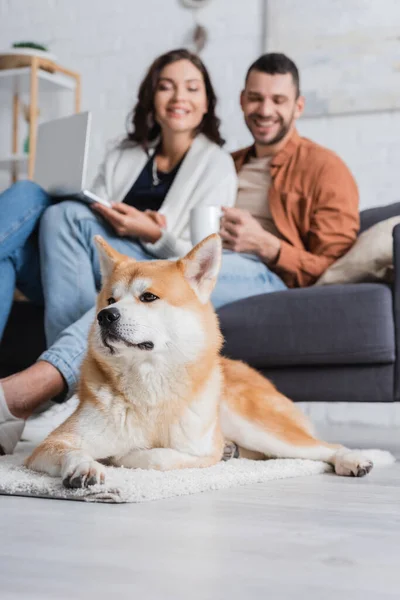 Akita inu cane vicino felice coppia offuscata con computer portatile e tazza — Foto stock