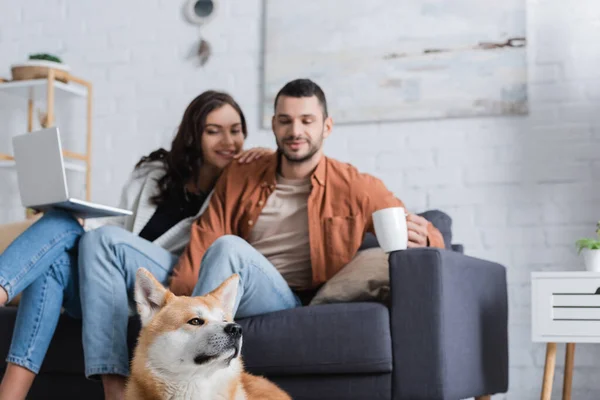 Akita inu dog near cheerful blurred couple with laptop and cup — Stock Photo