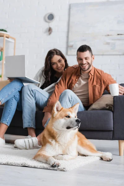 Smiling blurred couple with laptop and cup sitting on couch and looking at akita inu dog — Stock Photo