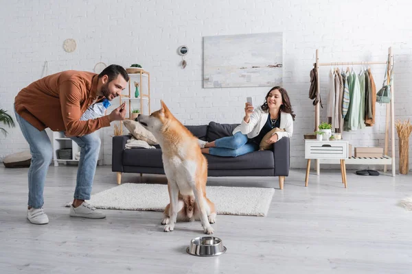 Young woman sitting on sofa and taking photo of boyfriend with pet food packaging and akita inu dog — Stock Photo
