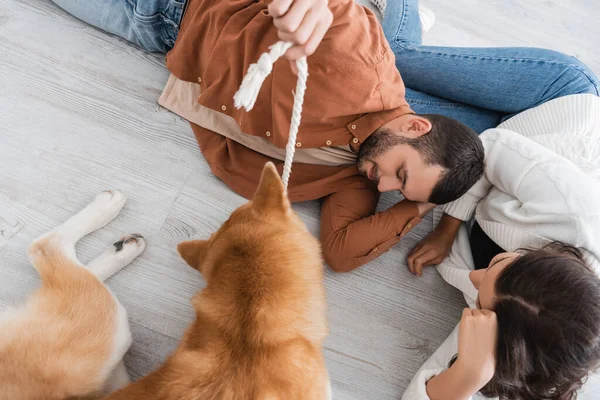 Top view of young couple lying of floor and playing with with akita inu dog — Stock Photo