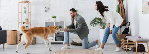 Bearded man holding rubber toy and playing with akita inu dog near happy girlfriend, banner — Stock Photo