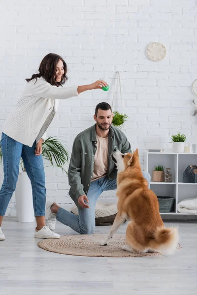 Glücklich Frau hält Gummispielzeug und spielt mit akita inu Hund in der Nähe Freund — Stockfoto