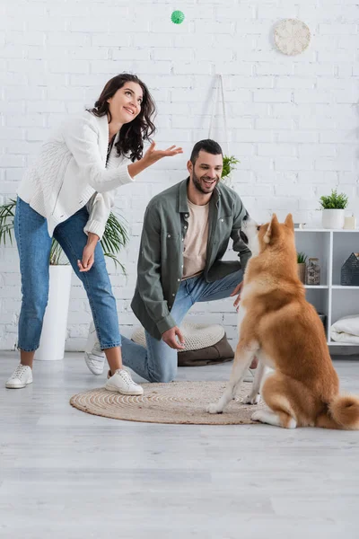 Happy woman throwing rubber toy while playing with akita inu dog near smiling boyfriend — Stock Photo