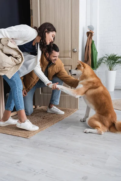 Akita inu cane dando la zampa a coppia allegra in giacche invernali — Foto stock