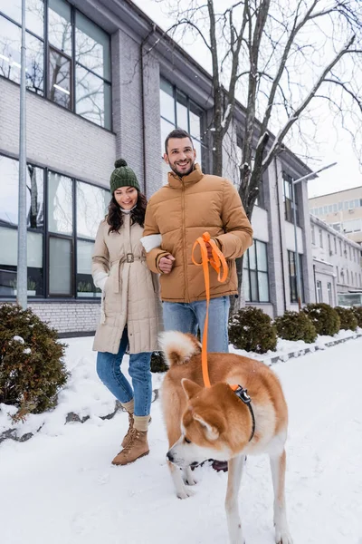 Happy man holding leash while walking with smiling girlfriend and akita inu dog — Stock Photo