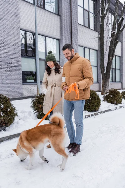 Cheerful man holding leash while walking with girlfriend and akita inu dog — Stock Photo