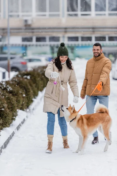 Happy man holding leash while walking near cheerufl girlfriend playing with akita inu dog in winter — Stock Photo