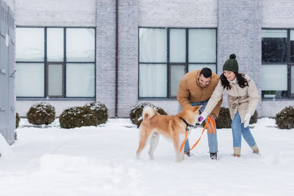 Happy couple playing with akita inu dog in winter — Stock Photo