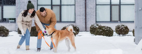 Happy couple playing with akita inu dog in winter, banner — Stock Photo