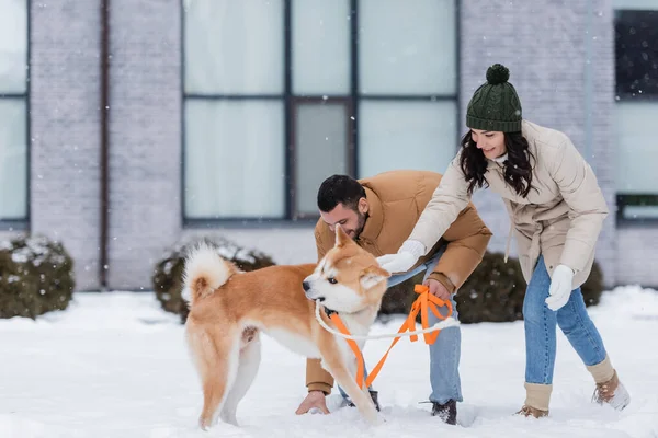 Cheerful young couple playing with akita inu dog in winter — Stock Photo