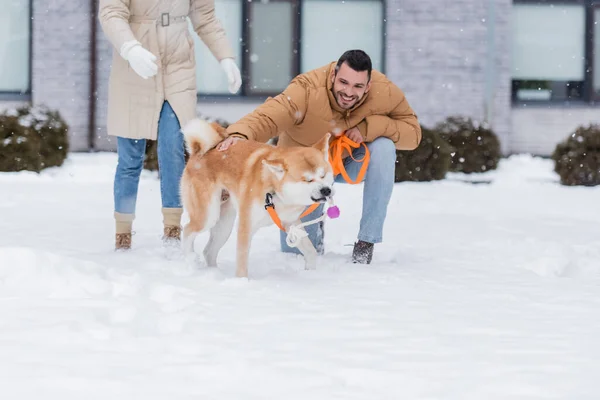 Happy man holding leash while petting akita inu dog near girlfriend outside — Stock Photo