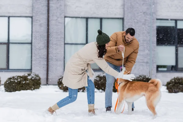 Joyful young couple playing with akita inu dog in winter — Stock Photo