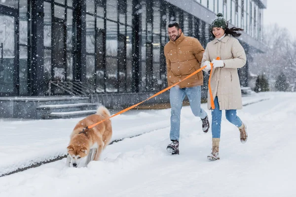 Happy woman holding leash while running together with boyfriend and akita inu dog under falling snow — Stock Photo