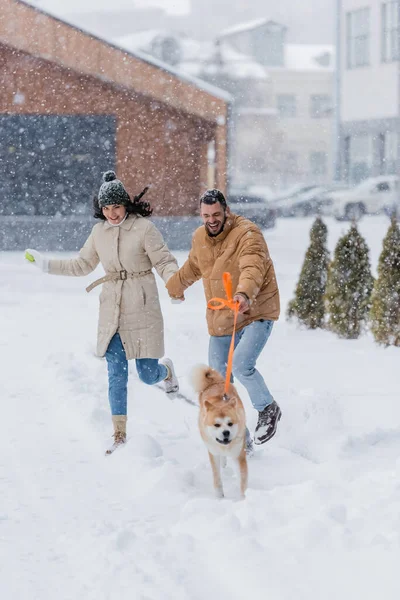 Happy man holding leash while running together with girlfriend and akita inu dog under falling snow — Stock Photo
