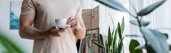 Cropped view of man holding cup of coffee and saucer near green plants, banner — Stock Photo