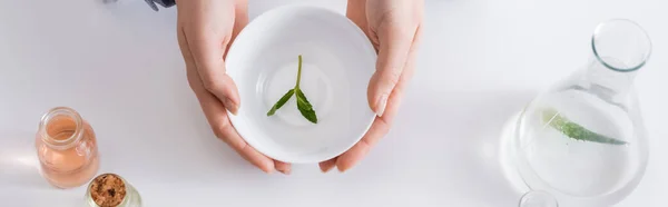 Vista dall'alto dell'assistente di laboratorio che tiene la ciotola con le foglie di menta vicino al pallone e alle bottiglie, banner — Foto stock