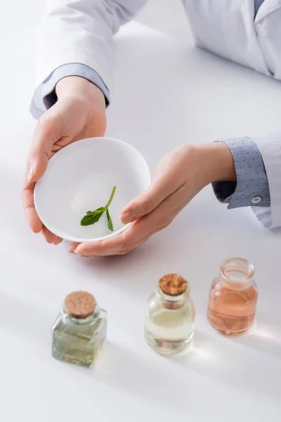 Ausgeschnittener Blick auf Laborassistentin, die Schale mit Minzblättern in der Nähe von Flaschen im Labor hält — Stockfoto