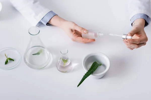 Vue du dessus de l'assistant de laboratoire tenant du sérum avec pipette près de l'aloès dans un bol et des flacons avec liquide — Photo de stock