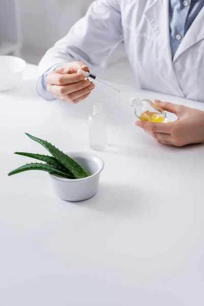 Cropped view of laboratory assistant holding serum with pipette near aloe in bowl — Stock Photo