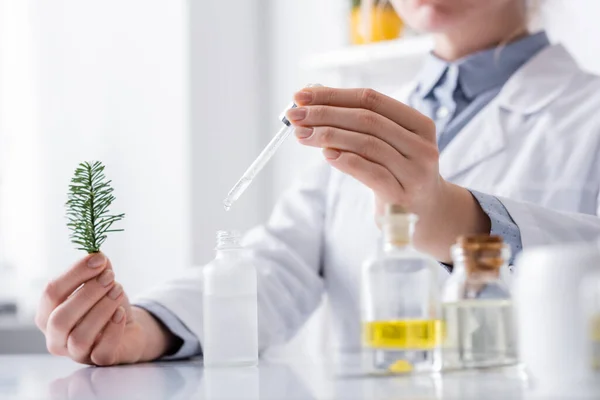 Vista recortada del asistente de laboratorio sosteniendo rama de abeto y pipeta con suero cerca de botellas en laboratorio - foto de stock