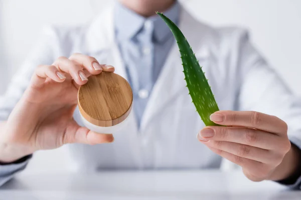 Cropped view of laboratory assistant holding aloe and container with cream in lab — Stock Photo