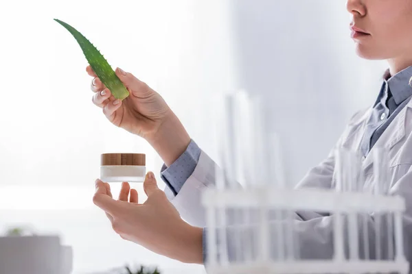 Vista cortada de assistente de laboratório segurando aloés frescos e recipiente com creme em laboratório — Fotografia de Stock