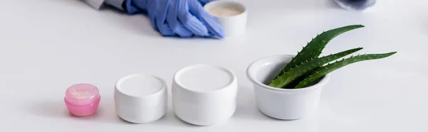 Cropped view of chemist in latex glove holding bowl with cream near aloe leaves and containers, banner — Stock Photo
