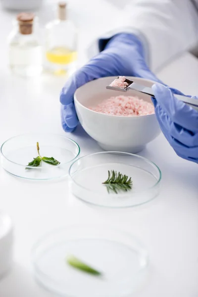 Vista recortada del químico en guantes de látex sosteniendo cucharada metálica cerca de placas de ensayo con plantas - foto de stock