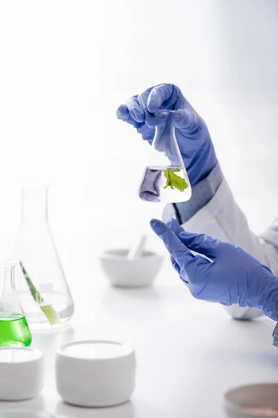 Vue recadrée de l'assistant de laboratoire dans des gants en latex tenant la fiole avec extrait de menthe — Photo de stock