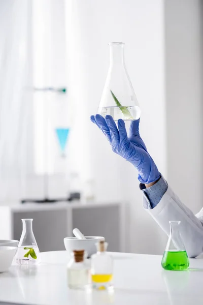 Vista cortada de assistente de laboratório em luva de látex segurando frasco com extrato de aloés — Fotografia de Stock