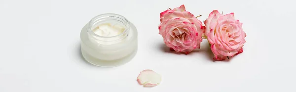 Fleurs roses en fleurs près du récipient avec crème sur blanc, bannière — Photo de stock