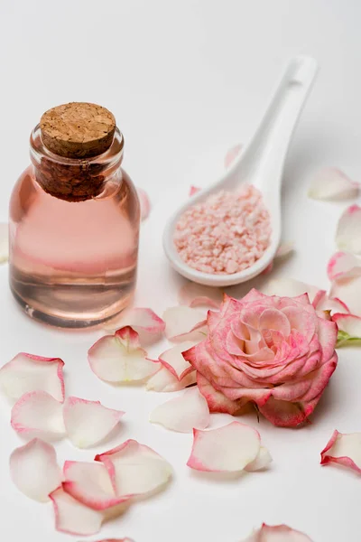 Flor cerca de pétalos, sal de mar rosa y botella con agua de rosas en blanco - foto de stock