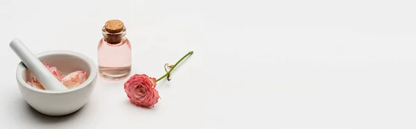 Flor cerca de pestle y mortero con pétalos y botella con agua de rosas en blanco, bandera - foto de stock