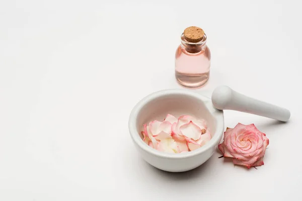 Цветок рядом с пестиком и раствором с лепестками и бутылкой с розовой водой на белом — стоковое фото