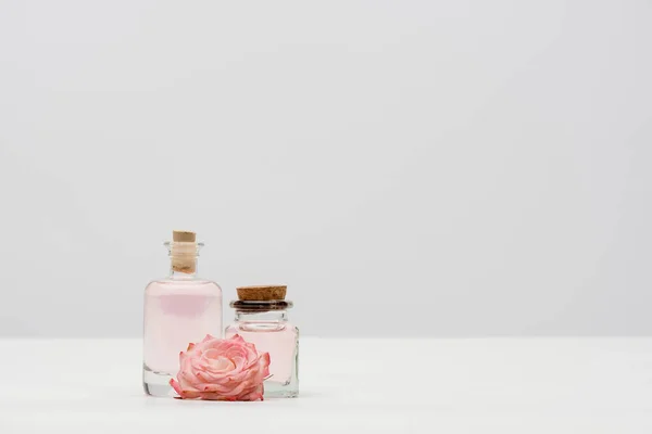 Botellas con productos cosméticos cerca de flores rosadas en blanco - foto de stock