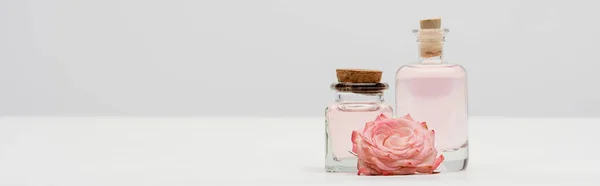 Botellas con productos cosméticos cerca de flores de color rosa en blanco, bandera - foto de stock