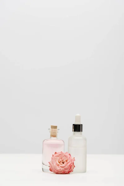 Garrafas com produtos cosméticos perto de flor rosa florescendo em branco — Fotografia de Stock