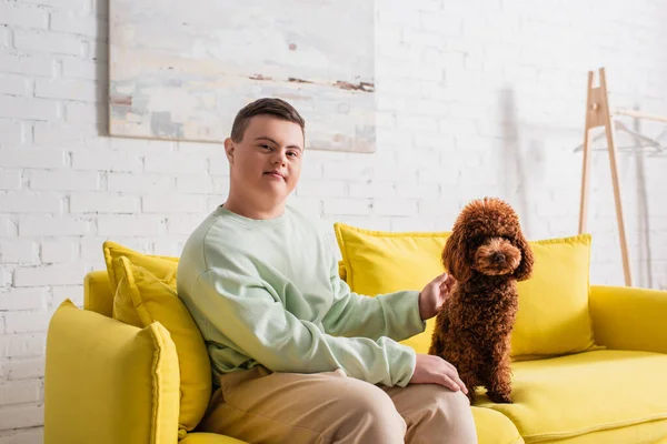 Adolescente con síndrome de Down mirando a la cámara cerca de caniche en el sofá - foto de stock