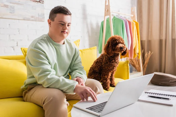 Teen boy with down syndrome using laptop near poodle on couch — Stock Photo