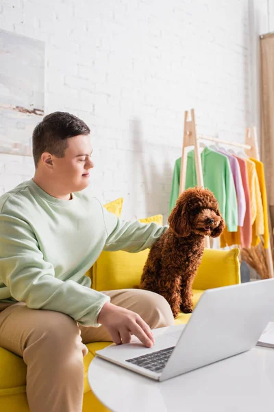 Teenager with down syndrome petting poodle and using laptop on couch at home — Stock Photo