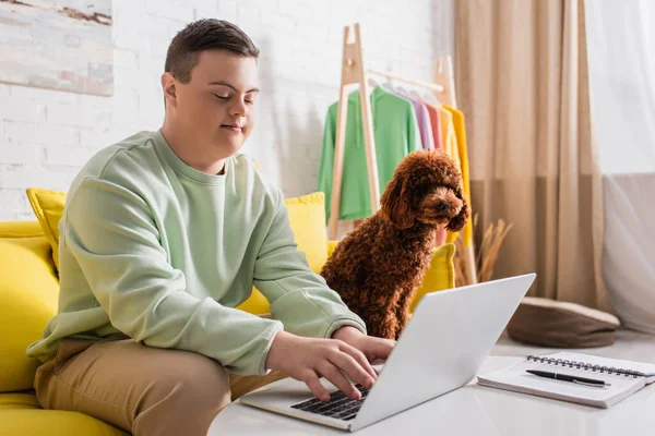 Poodle sitting on couch near teenager with down syndrome using laptop at home — Stock Photo