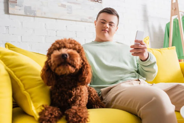 Хлопчик-підліток з синдромом Дауна тримає смартфон і дивиться на розмитий пудель на дивані — стокове фото