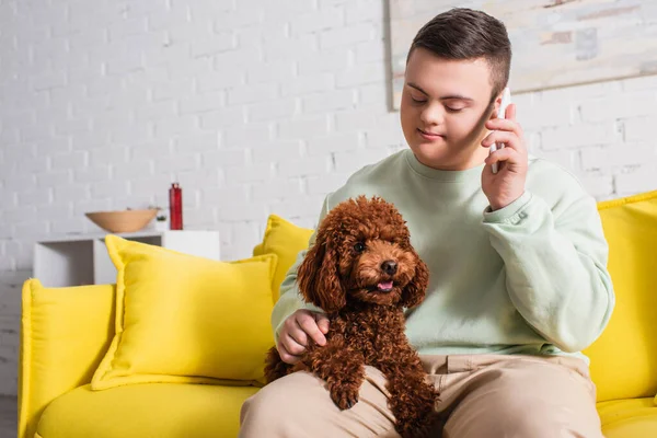 Adolescente con síndrome de Down hablando en el teléfono inteligente cerca de caniche en el sofá - foto de stock